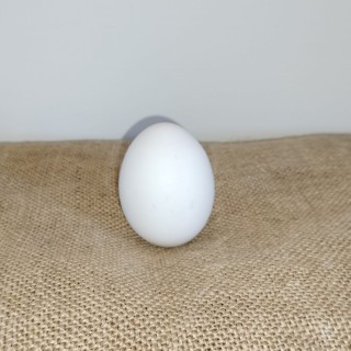 Uova fresche bianche (6 pz)